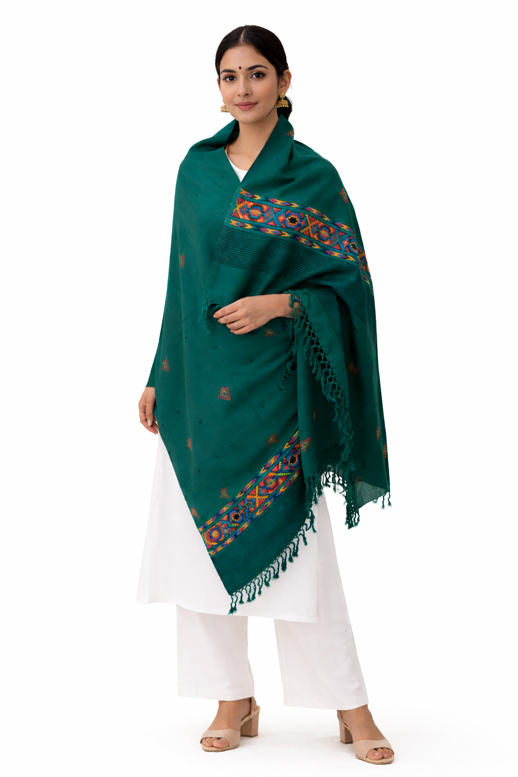 Kullu Border Shawl with all over pattern